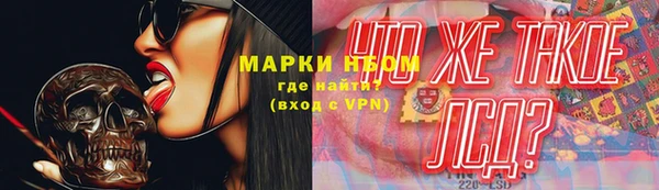 гидра Киренск