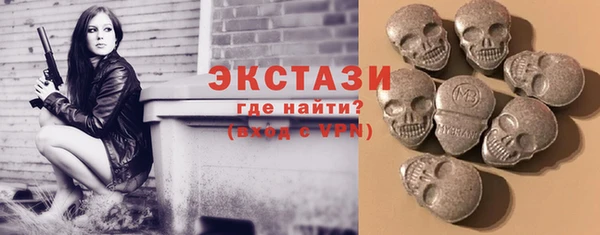 стаф Козловка