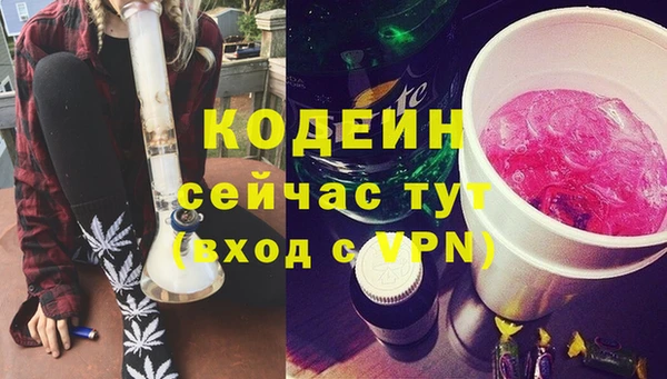 стаф Козловка