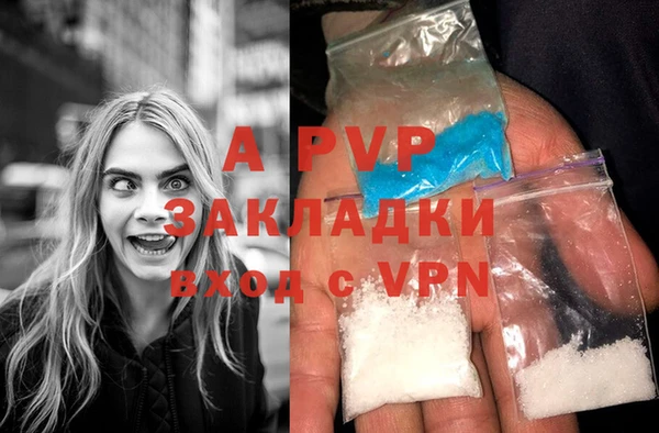 твердый Сосновый Бор