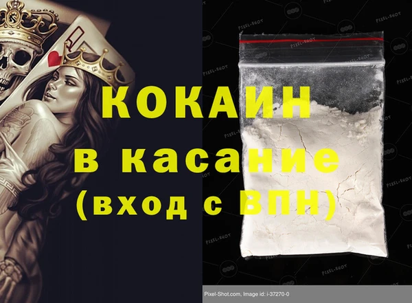 стаф Козловка