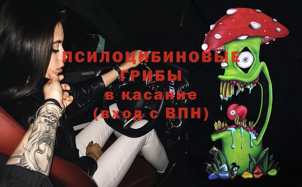 apvp Корсаков