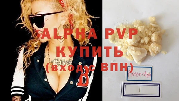 стаф Козловка