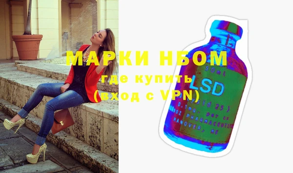 стаф Козловка