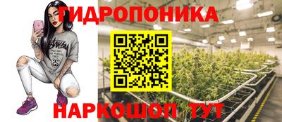 винт Донецк