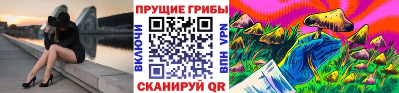 Псилоцибиновые грибы прущие грибы  где можно купить   Кольчугино 