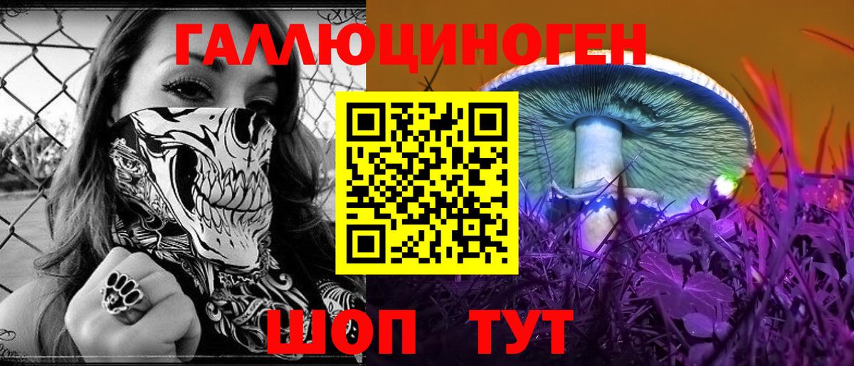 Галлюциногенные грибы GOLDEN TEACHER  Вход с VPN  Кольчугино 